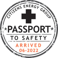 Passport to Safety Icon