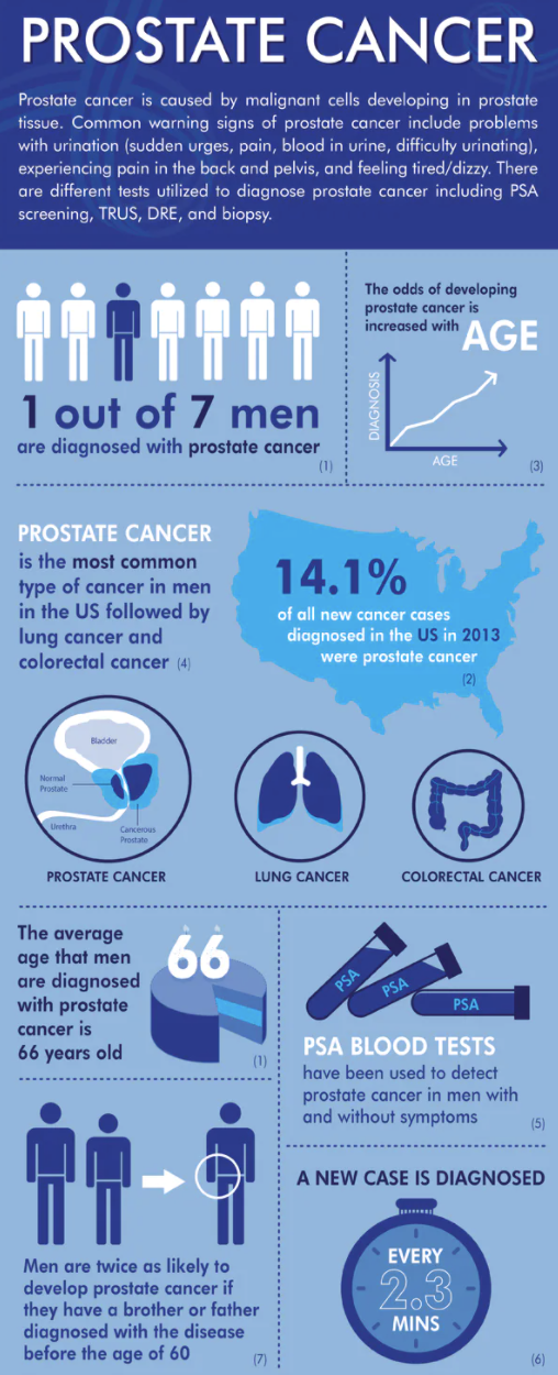 Prostate-1