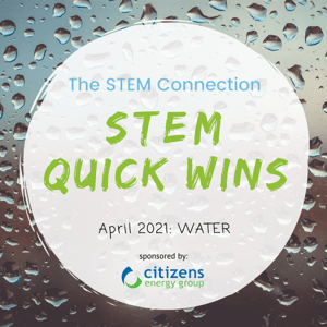 The STEM Connection Quick Wins