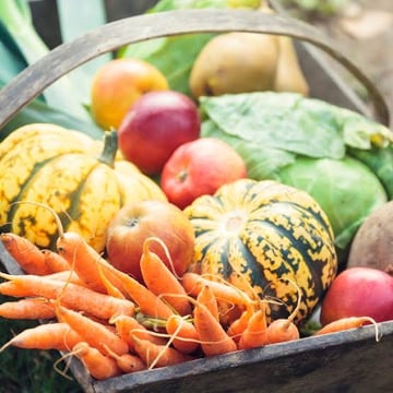 fall food